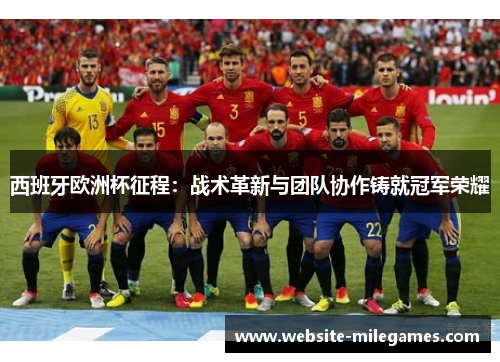 西班牙欧洲杯征程：战术革新与团队协作铸就冠军荣耀