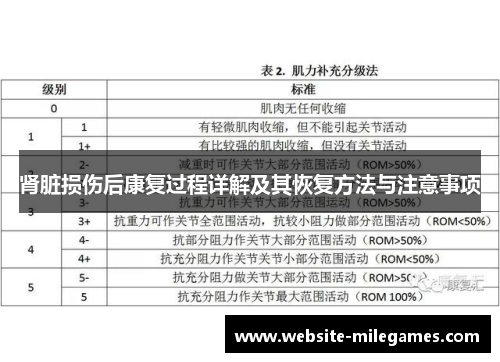 肾脏损伤后康复过程详解及其恢复方法与注意事项