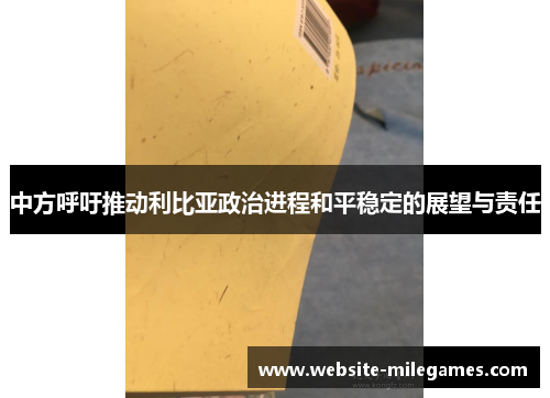 中方呼吁推动利比亚政治进程和平稳定的展望与责任