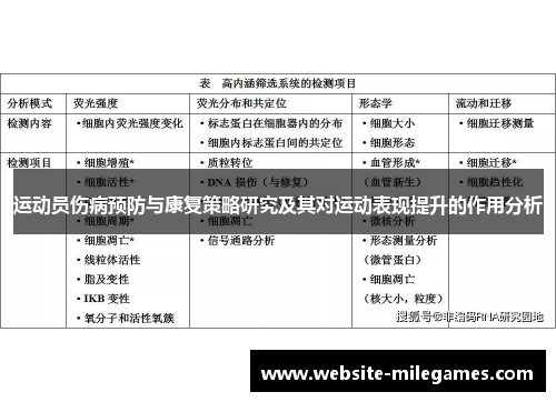 运动员伤病预防与康复策略研究及其对运动表现提升的作用分析 运动员伤病预防与康复策略研究及其对运动表现提升的作用分析
